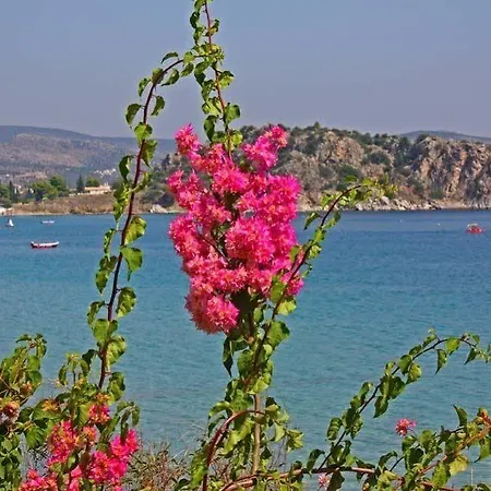 Aparthotel Poseidon 2*