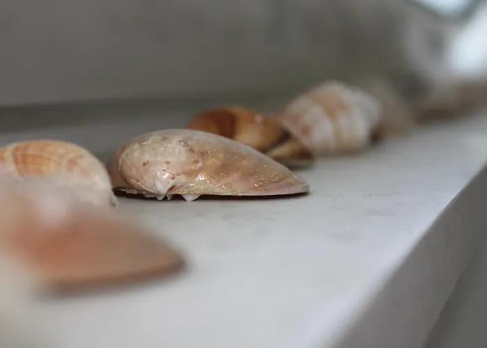 Poseidon 公寓式酒店 托隆