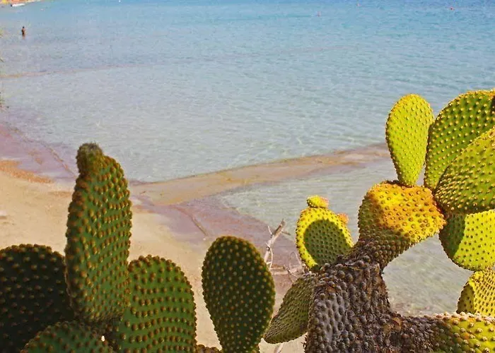 Aparthotel Poseidon 4*