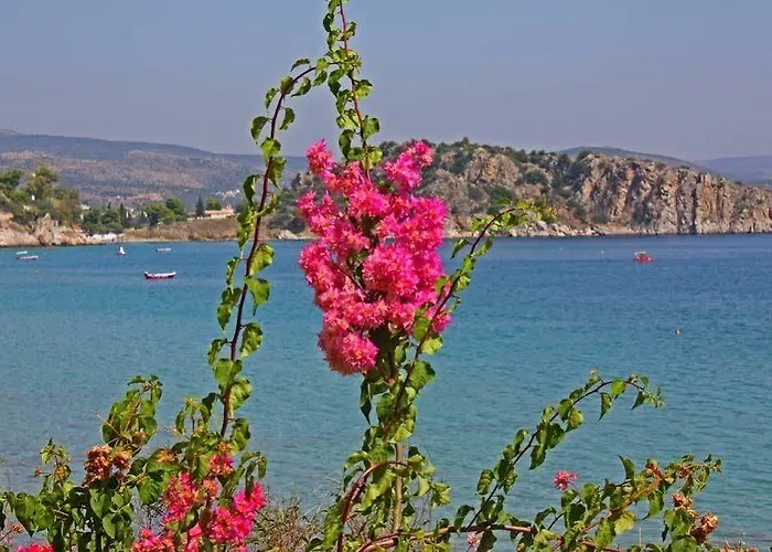 公寓式酒店 Poseidon 4*